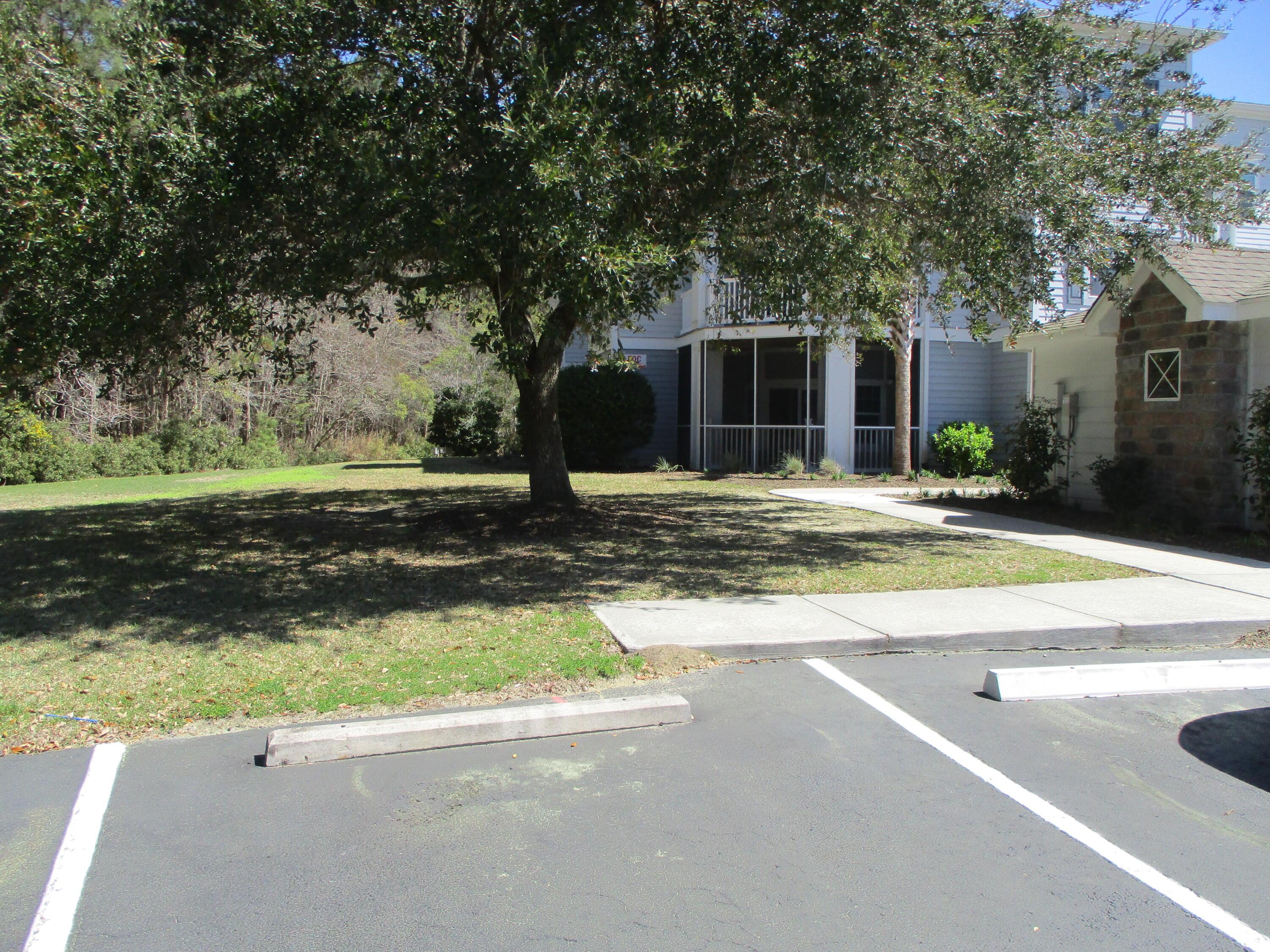 Photo #31