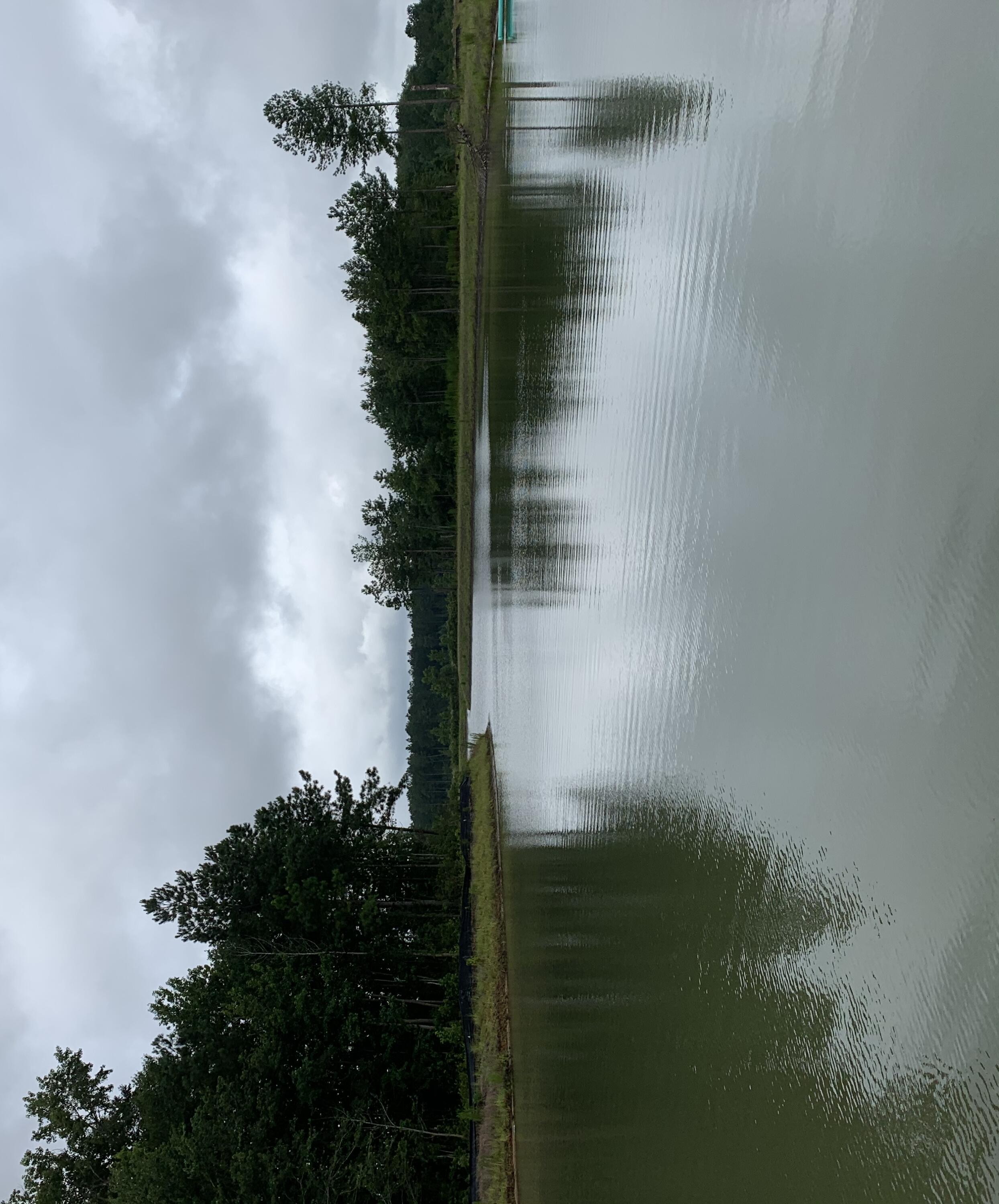 Photo #23