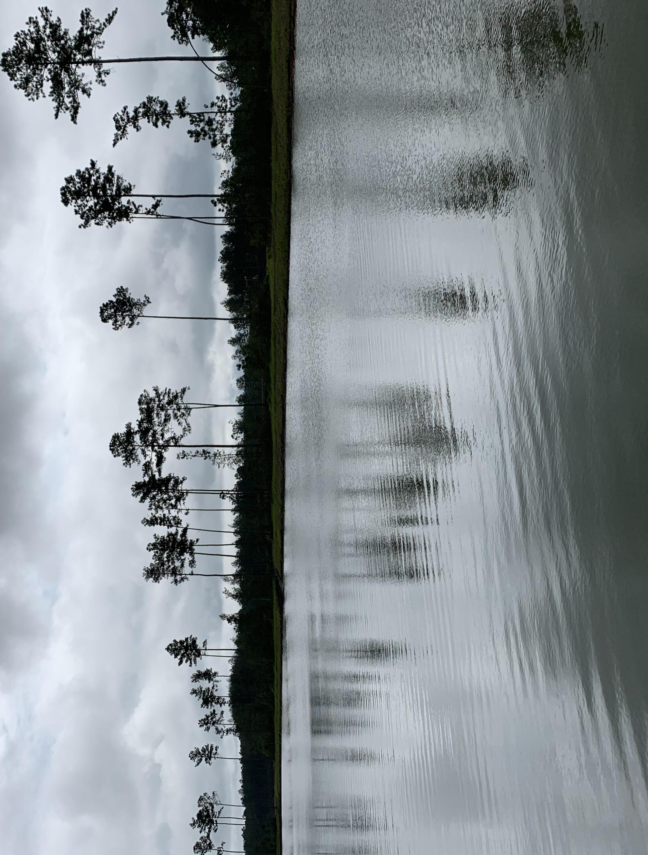 Photo #18