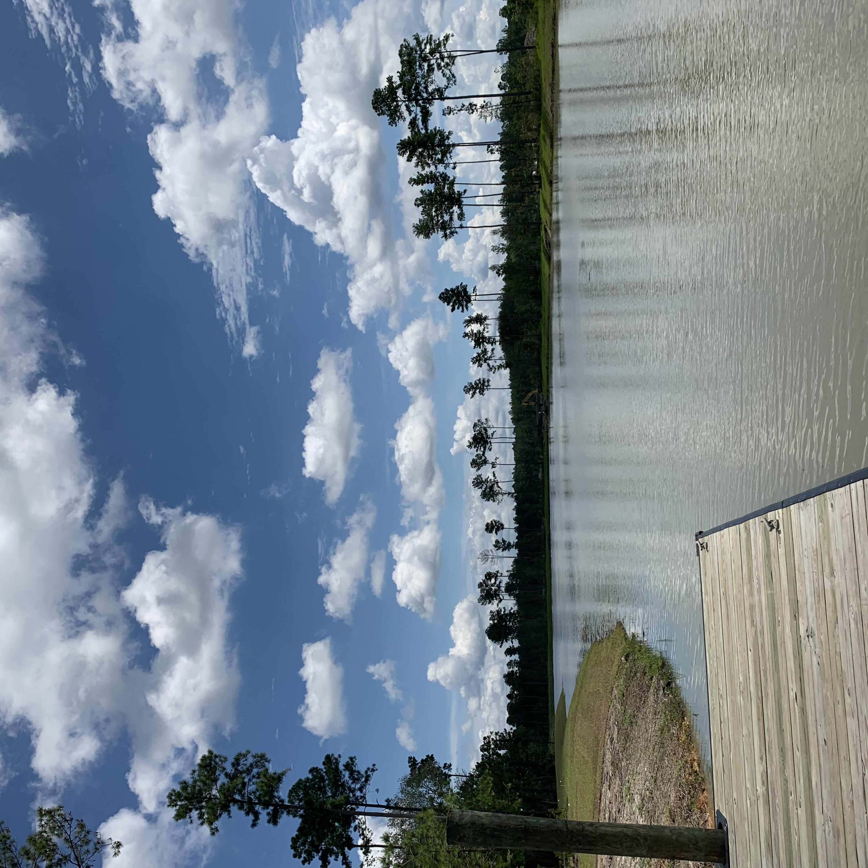 Photo #19