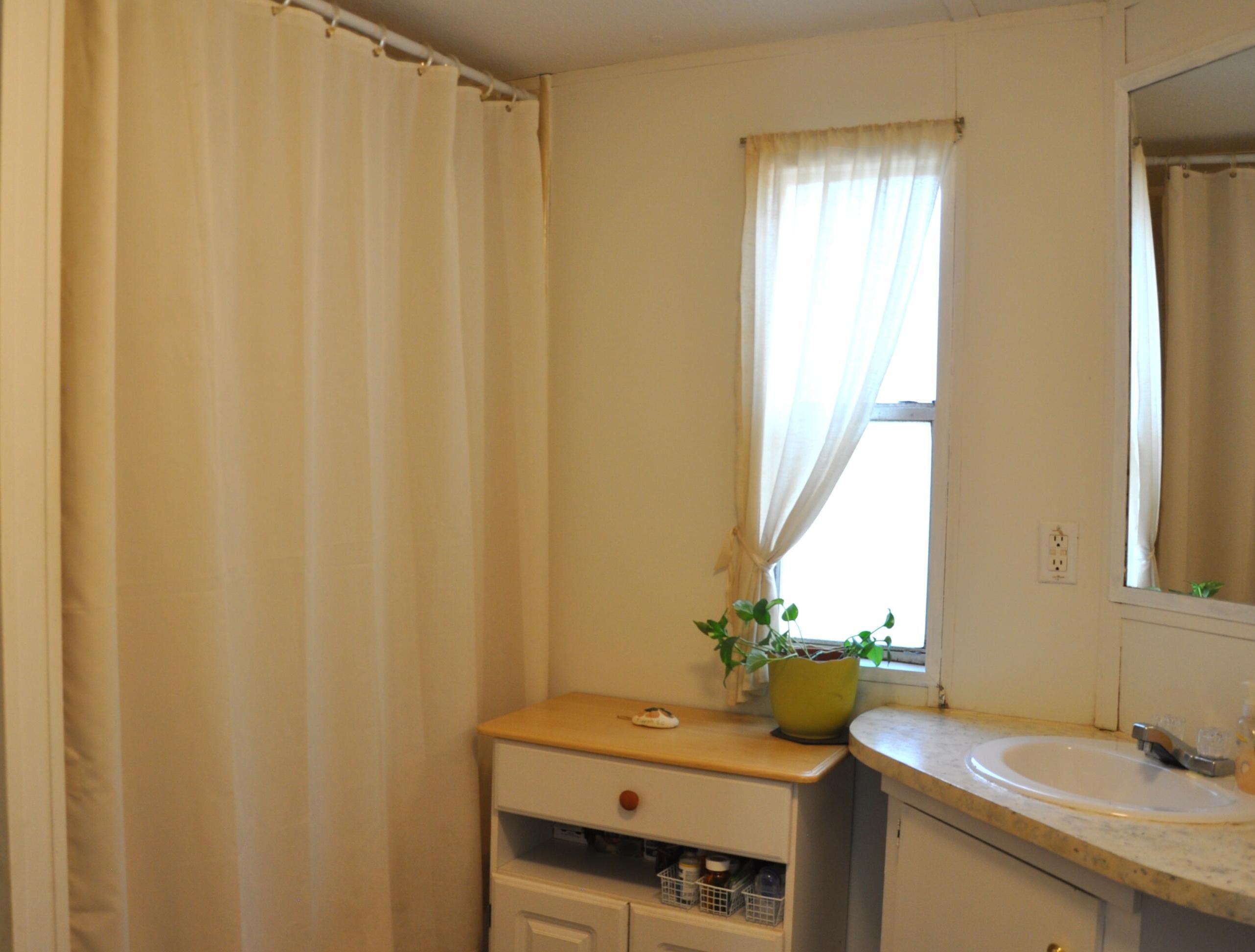 Photo #12