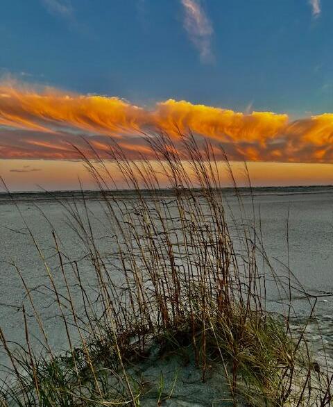 Photo #11