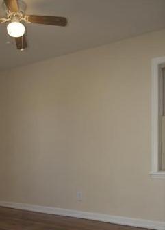 Photo #4