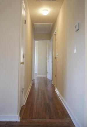 Photo #8