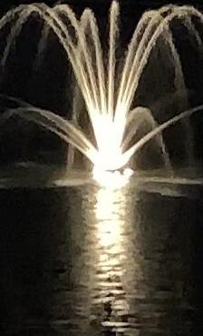 Photo #44