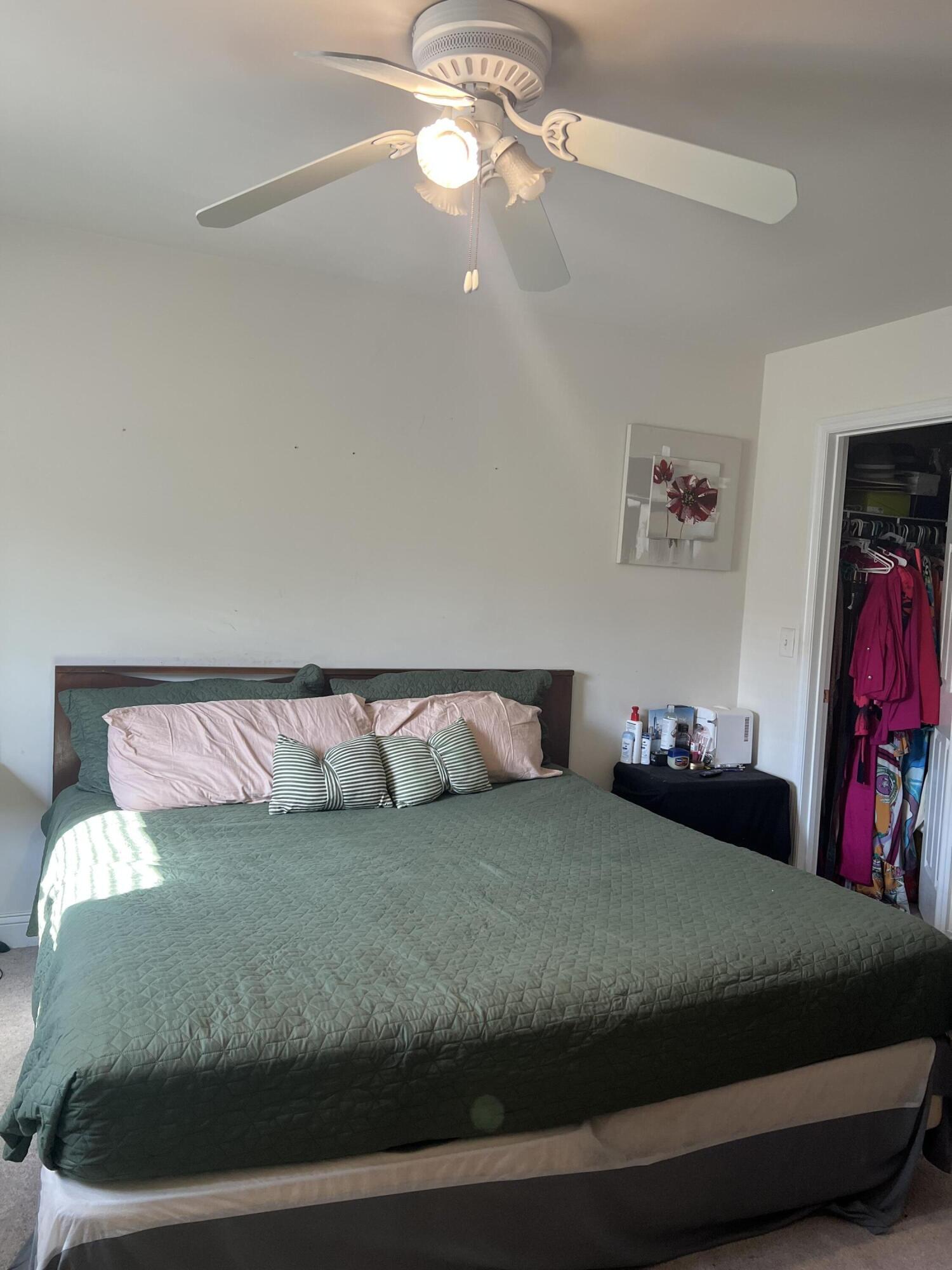 Photo #16
