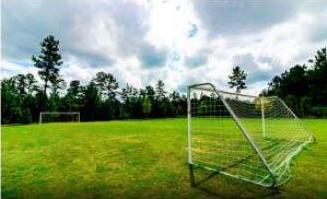Photo #14