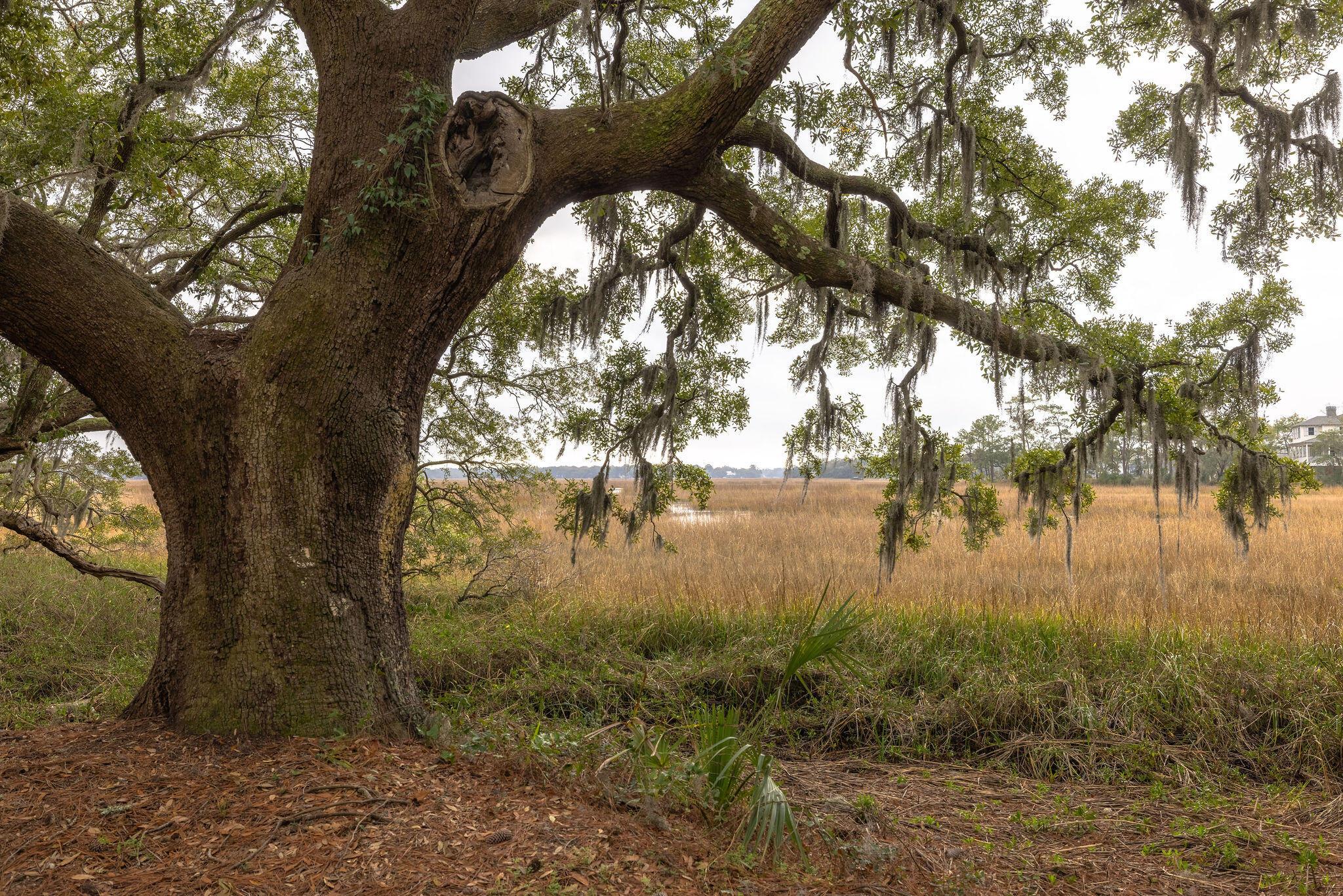 Photo #25