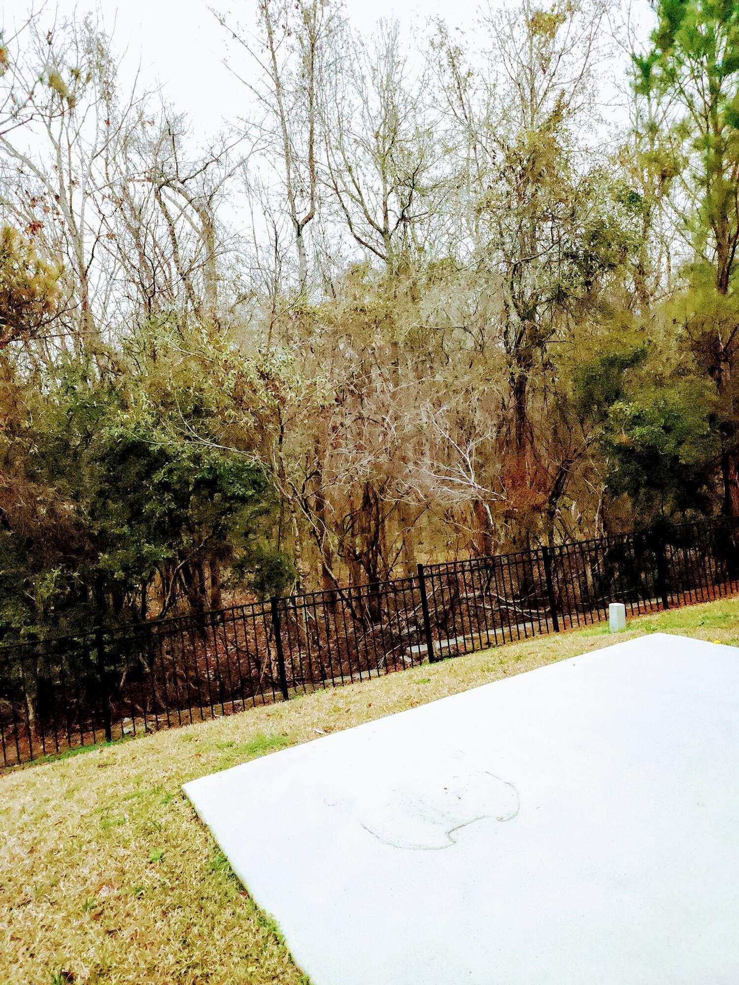 Photo #35
