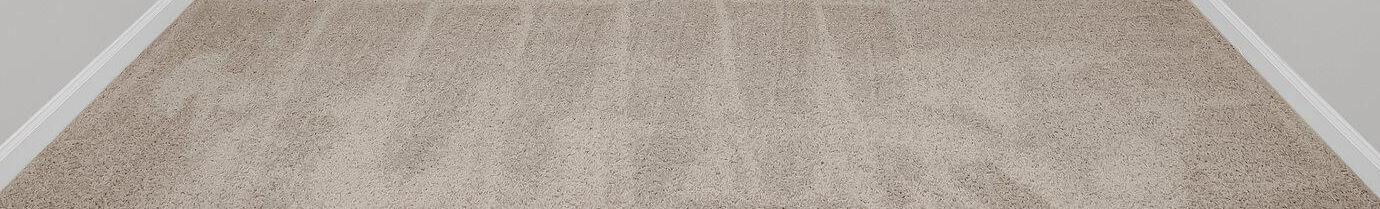 Photo #31