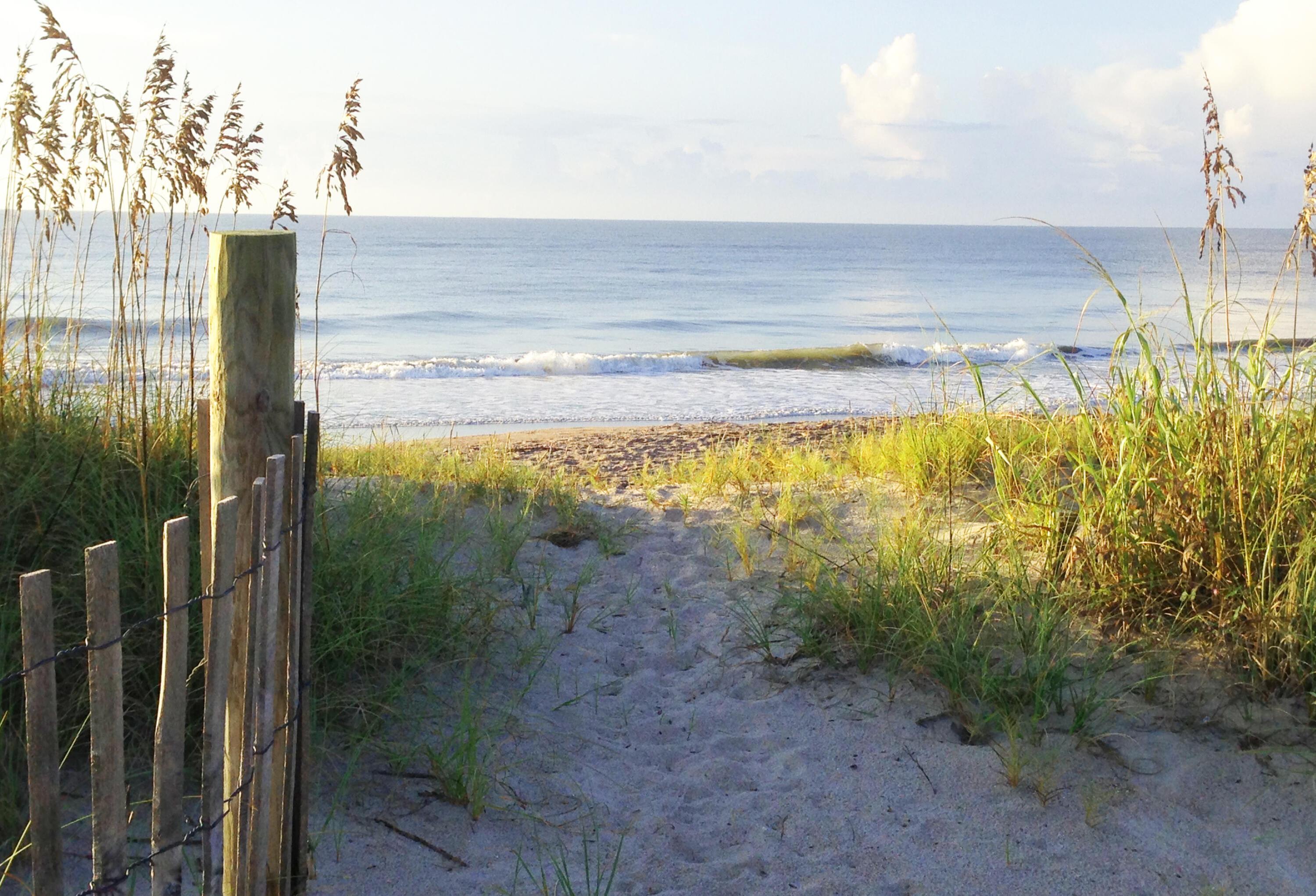 Photo #55