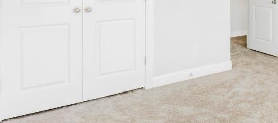 Photo #13