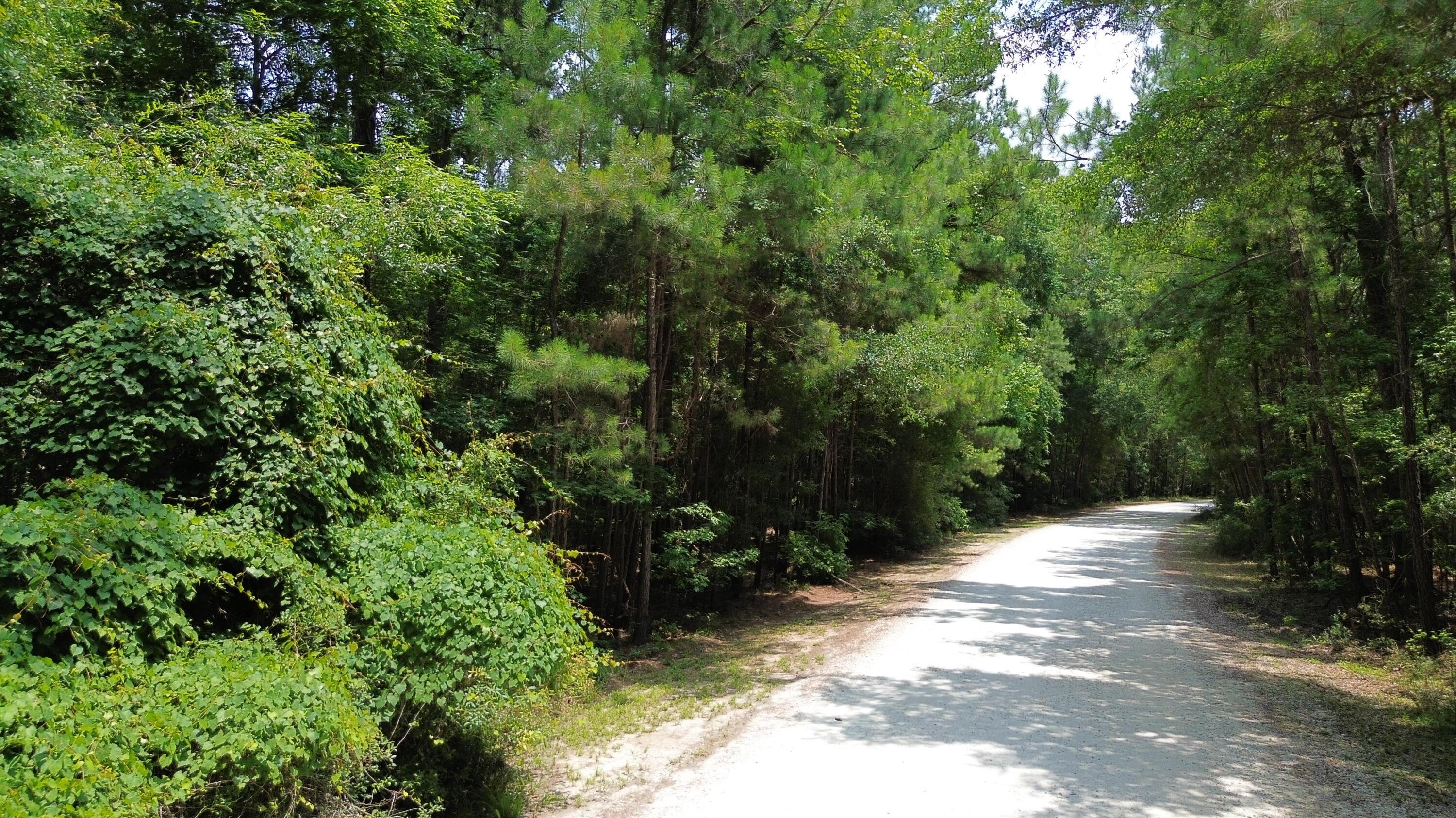 Photo #41