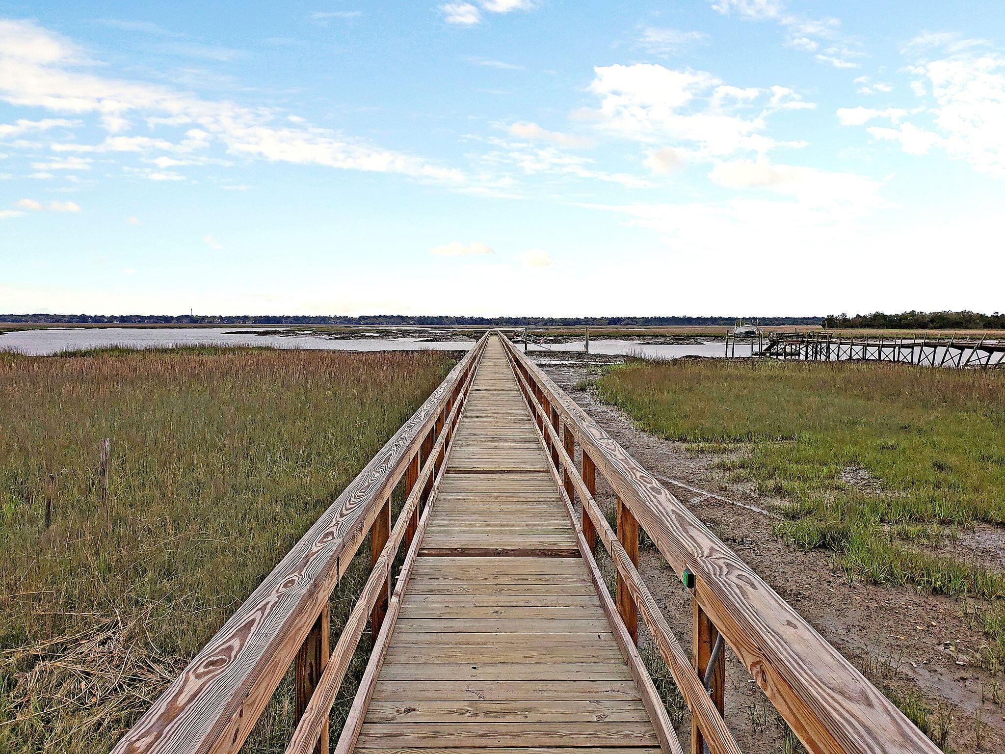 Photo #62