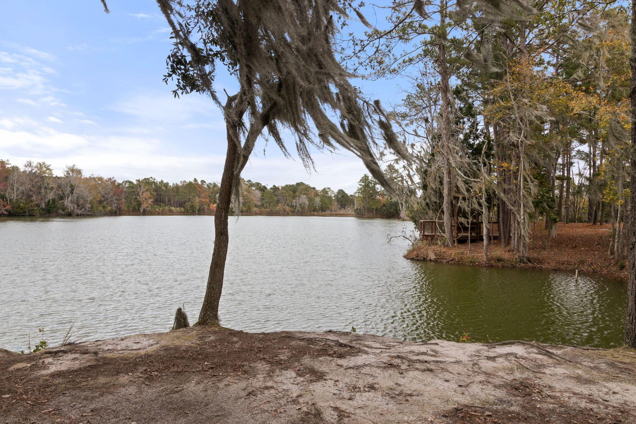 Photo #46