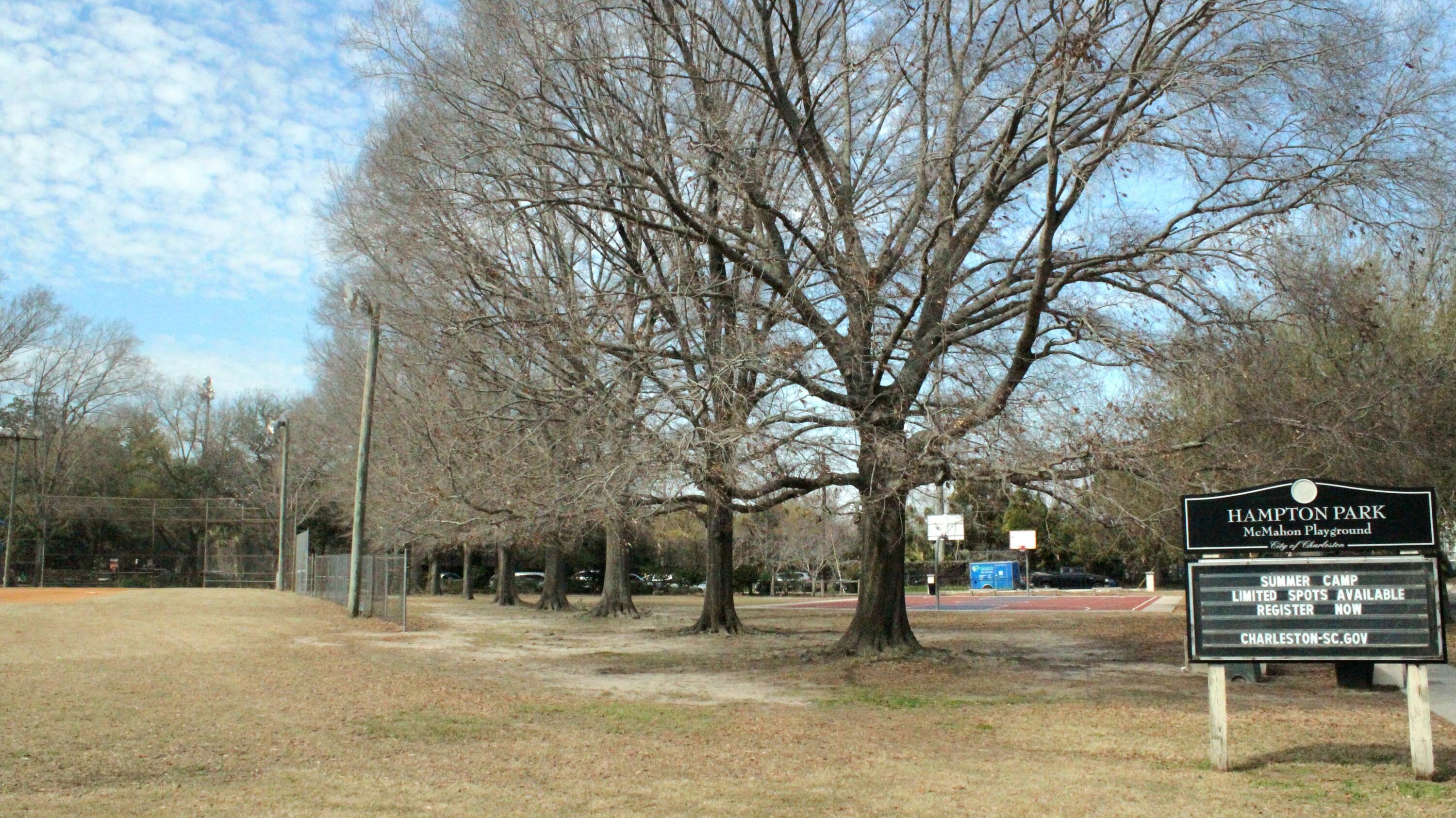 Photo #23