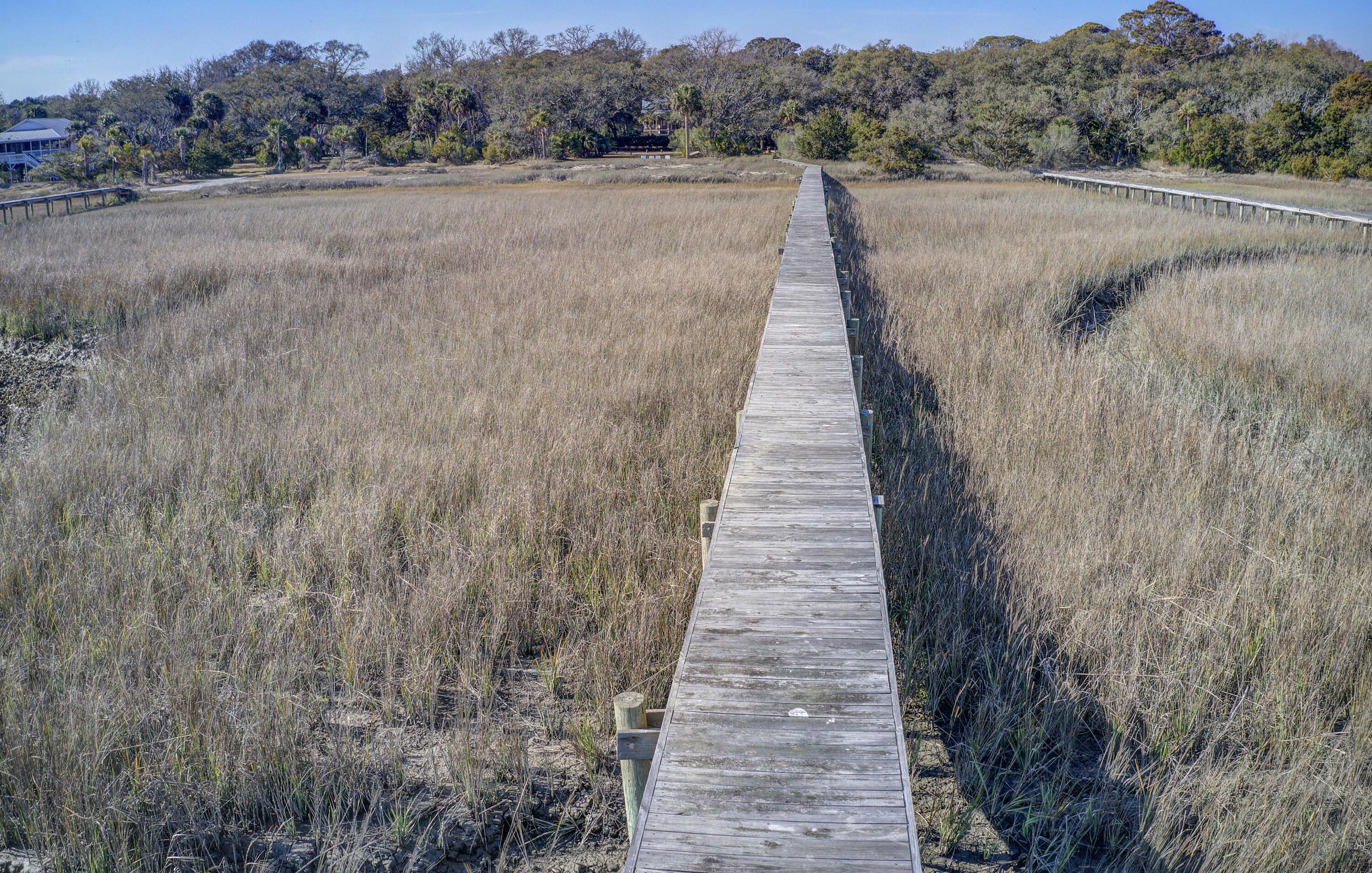Photo #68