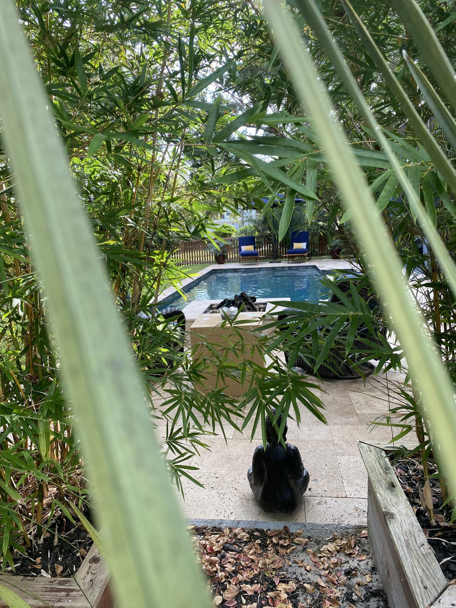 Photo #49