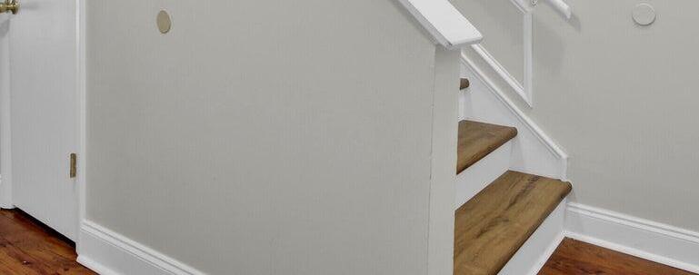 Photo #11