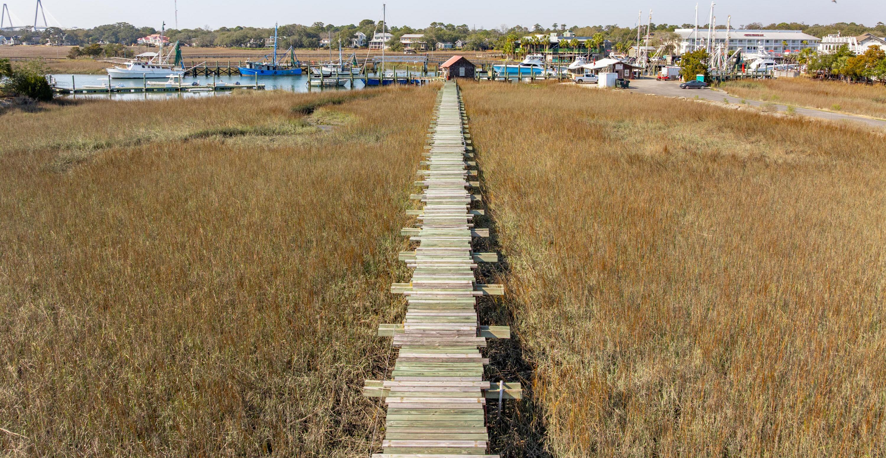 Photo #56