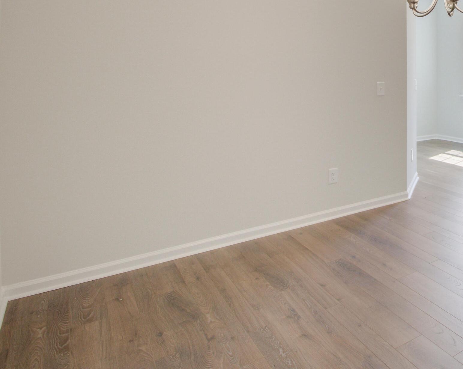 Photo #8