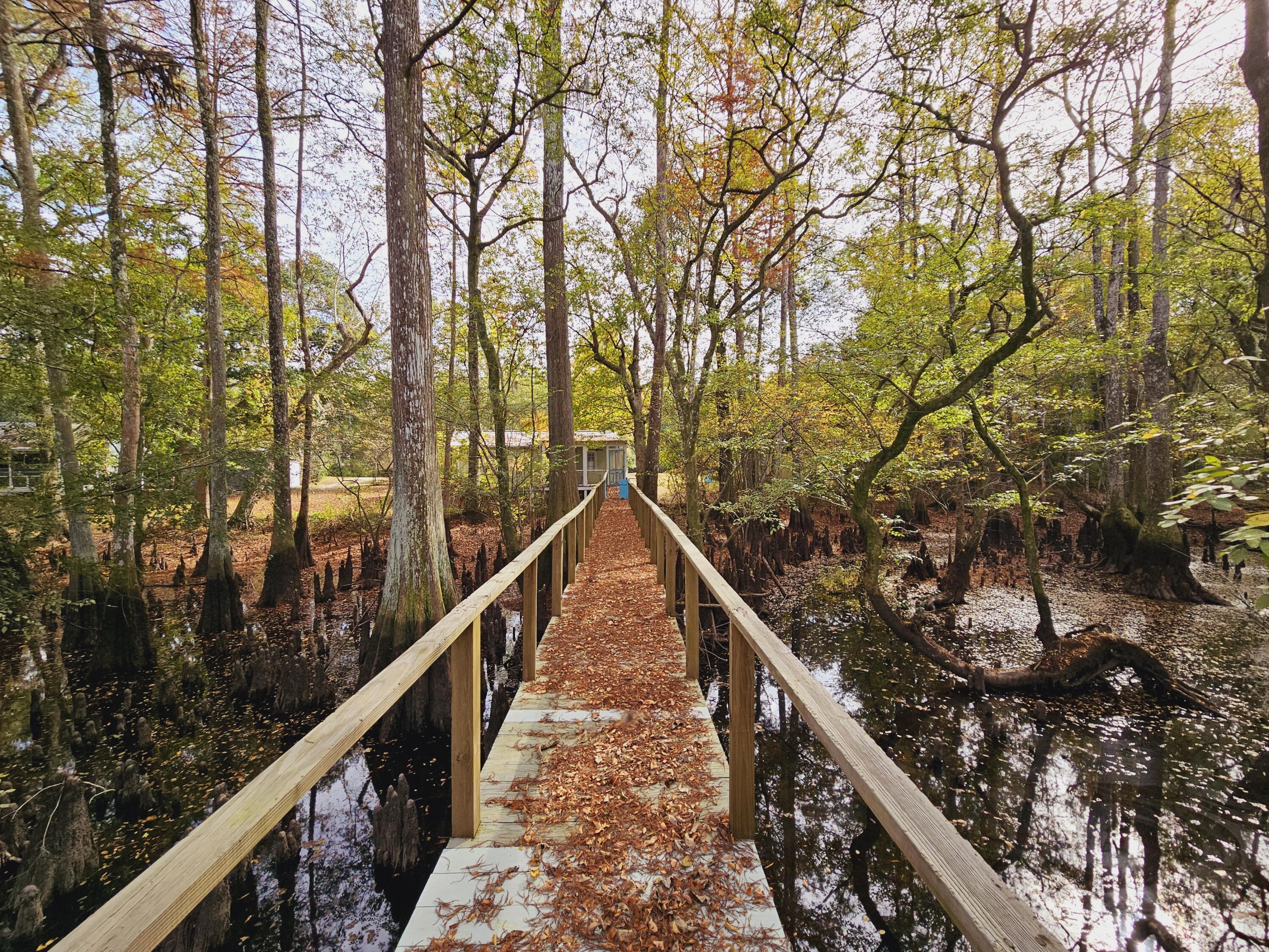 Photo #13