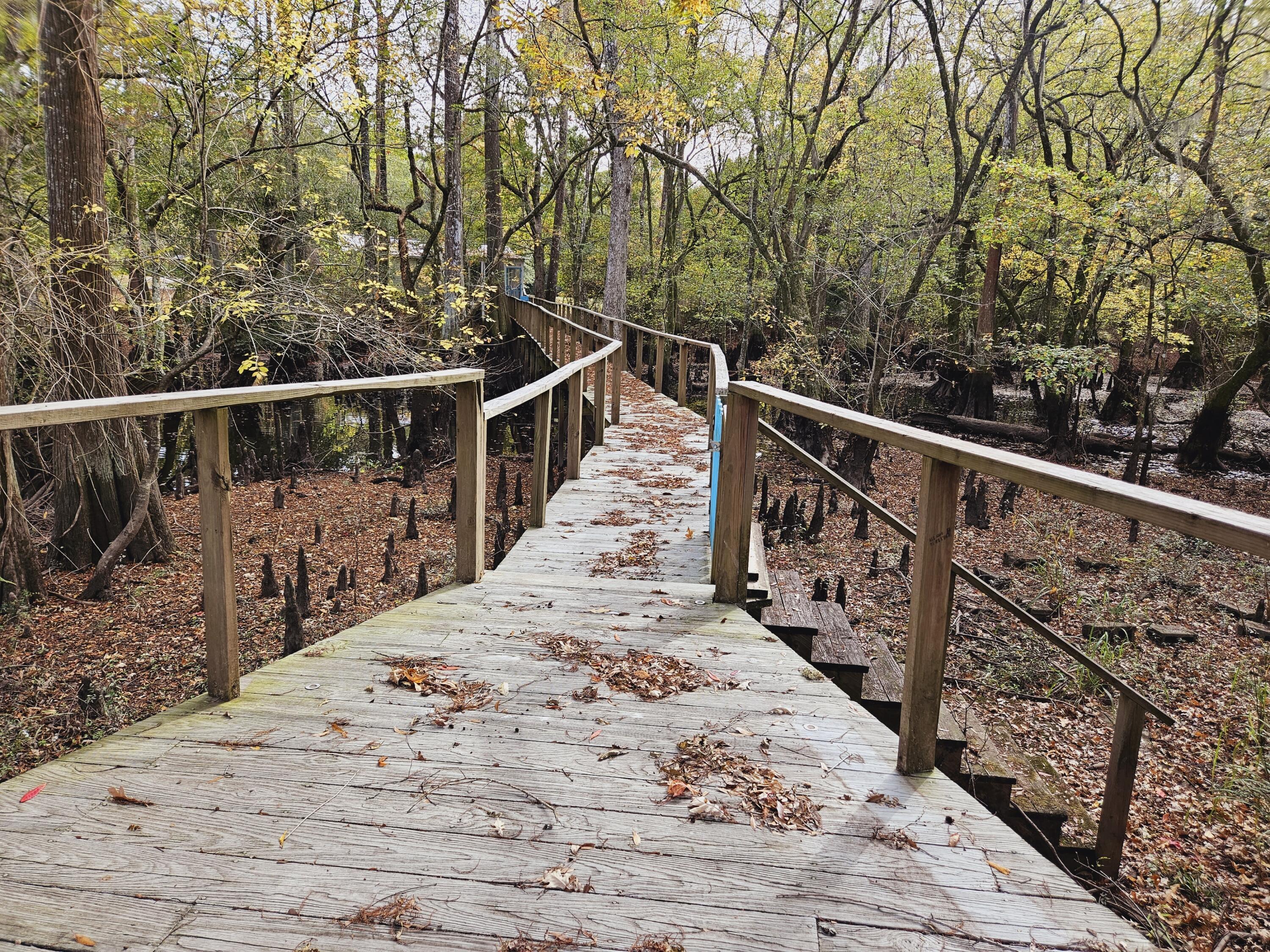 Photo #24