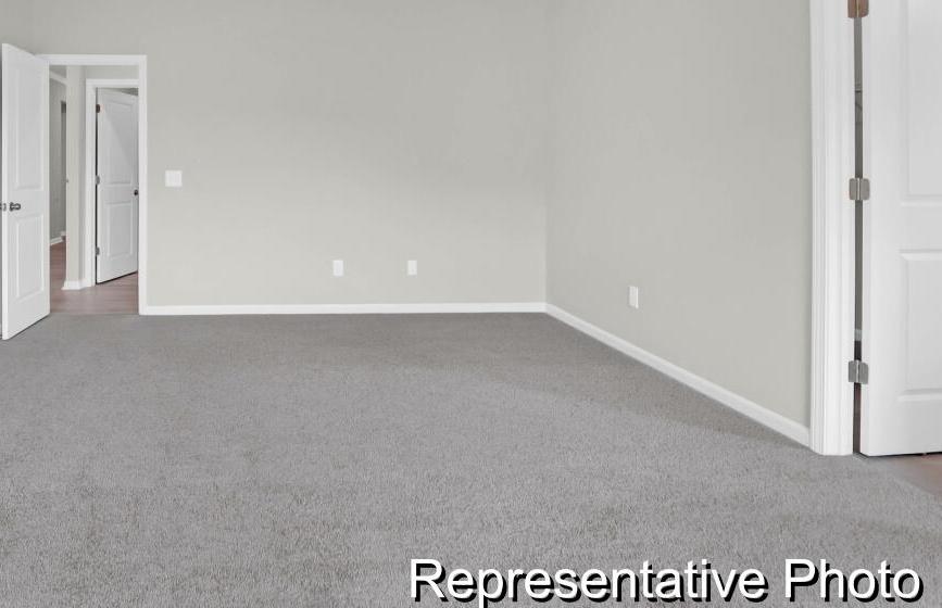 Photo #14