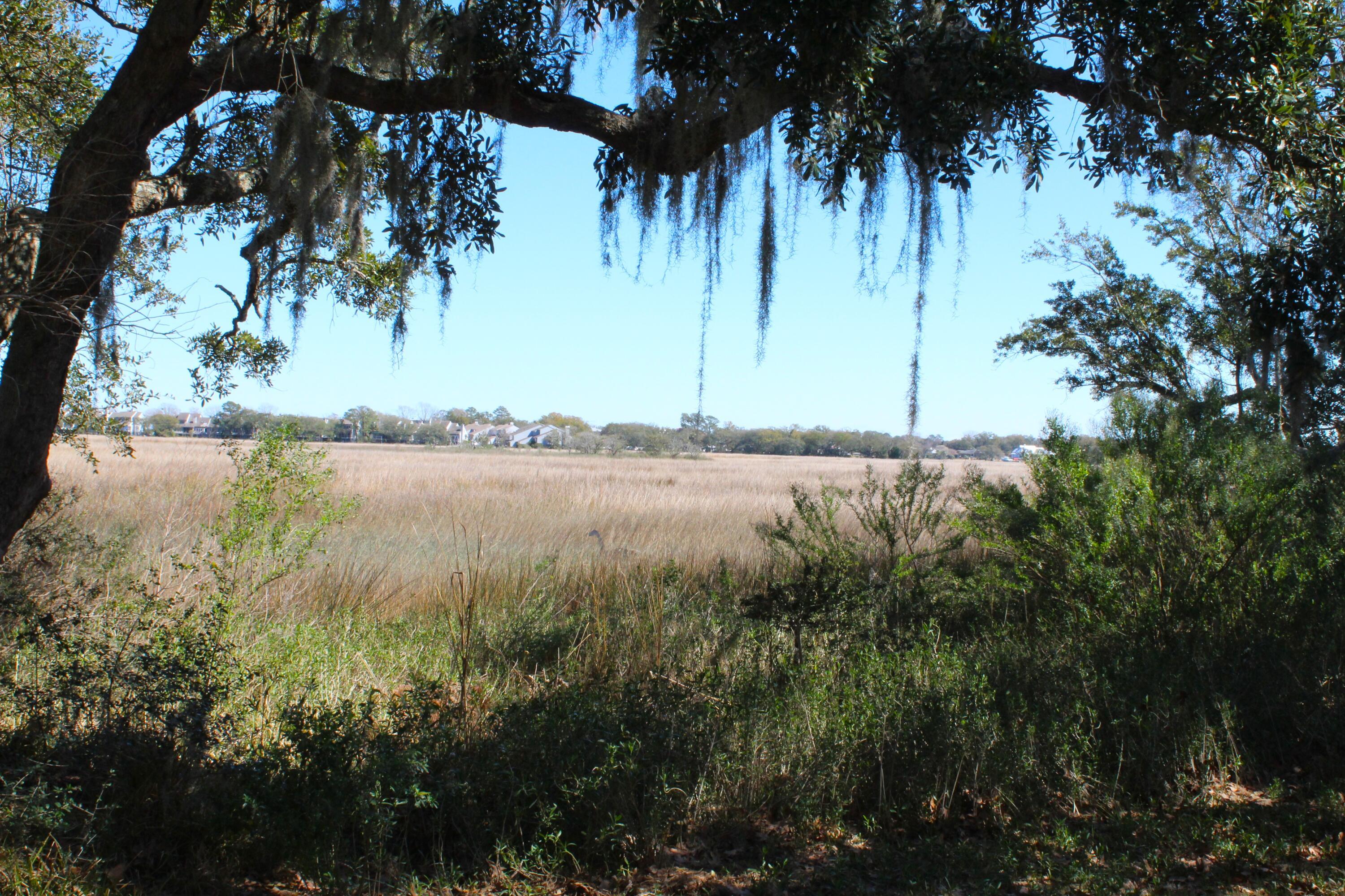 Photo #16