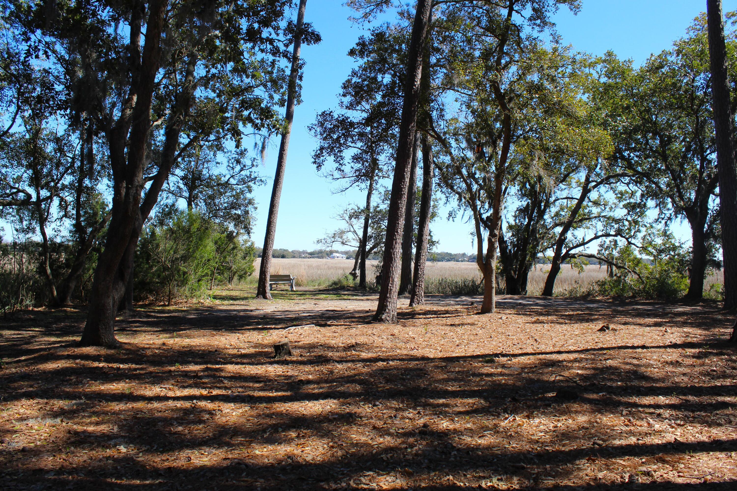 Photo #17