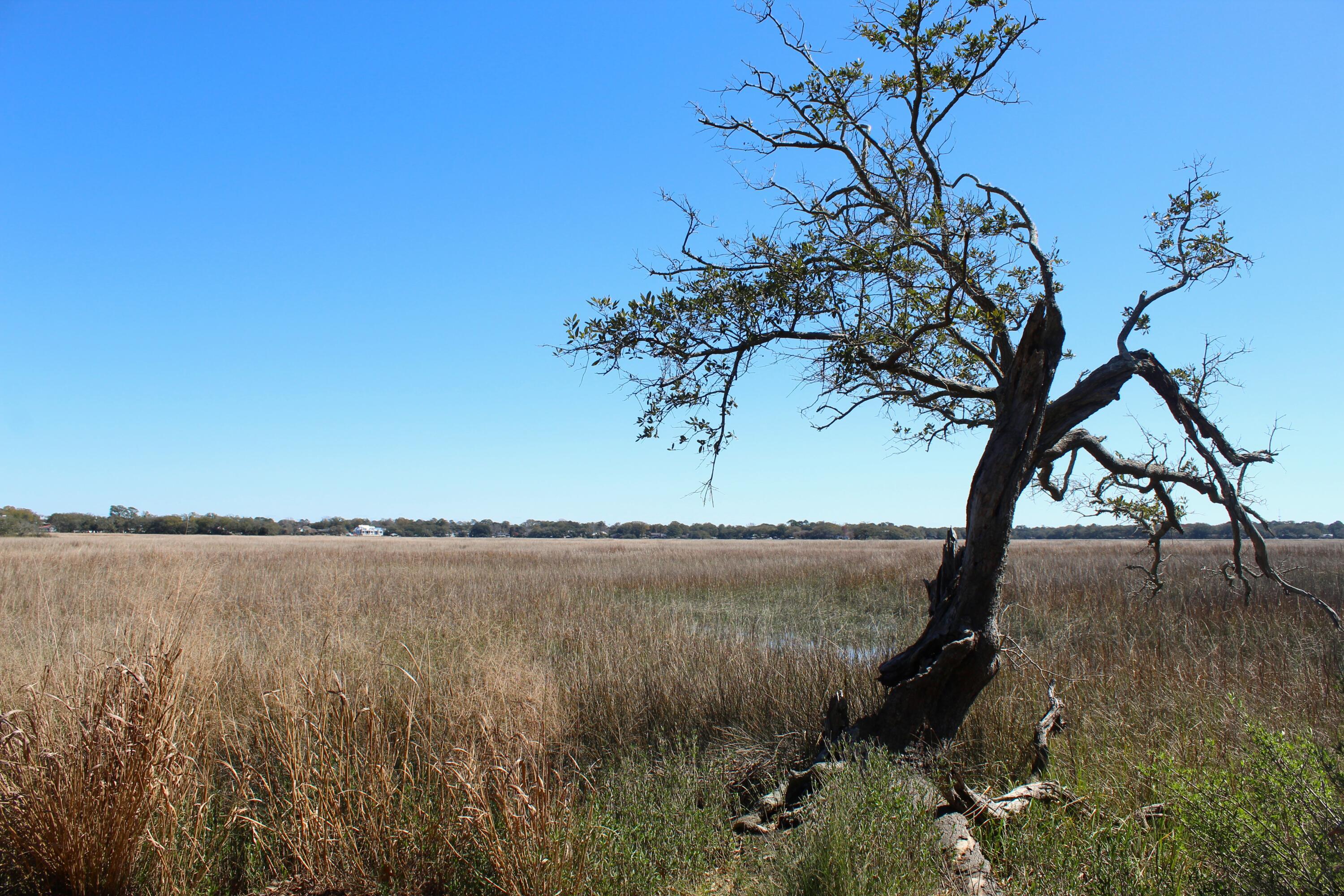 Photo #18