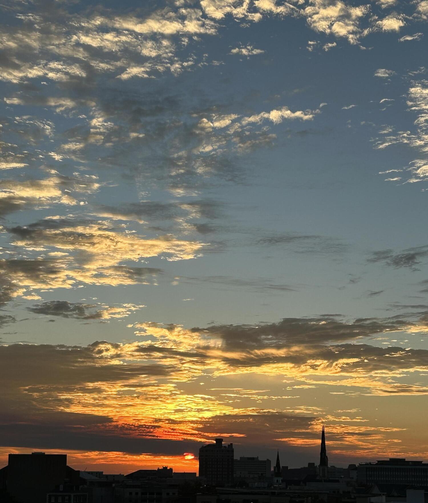 Photo #66