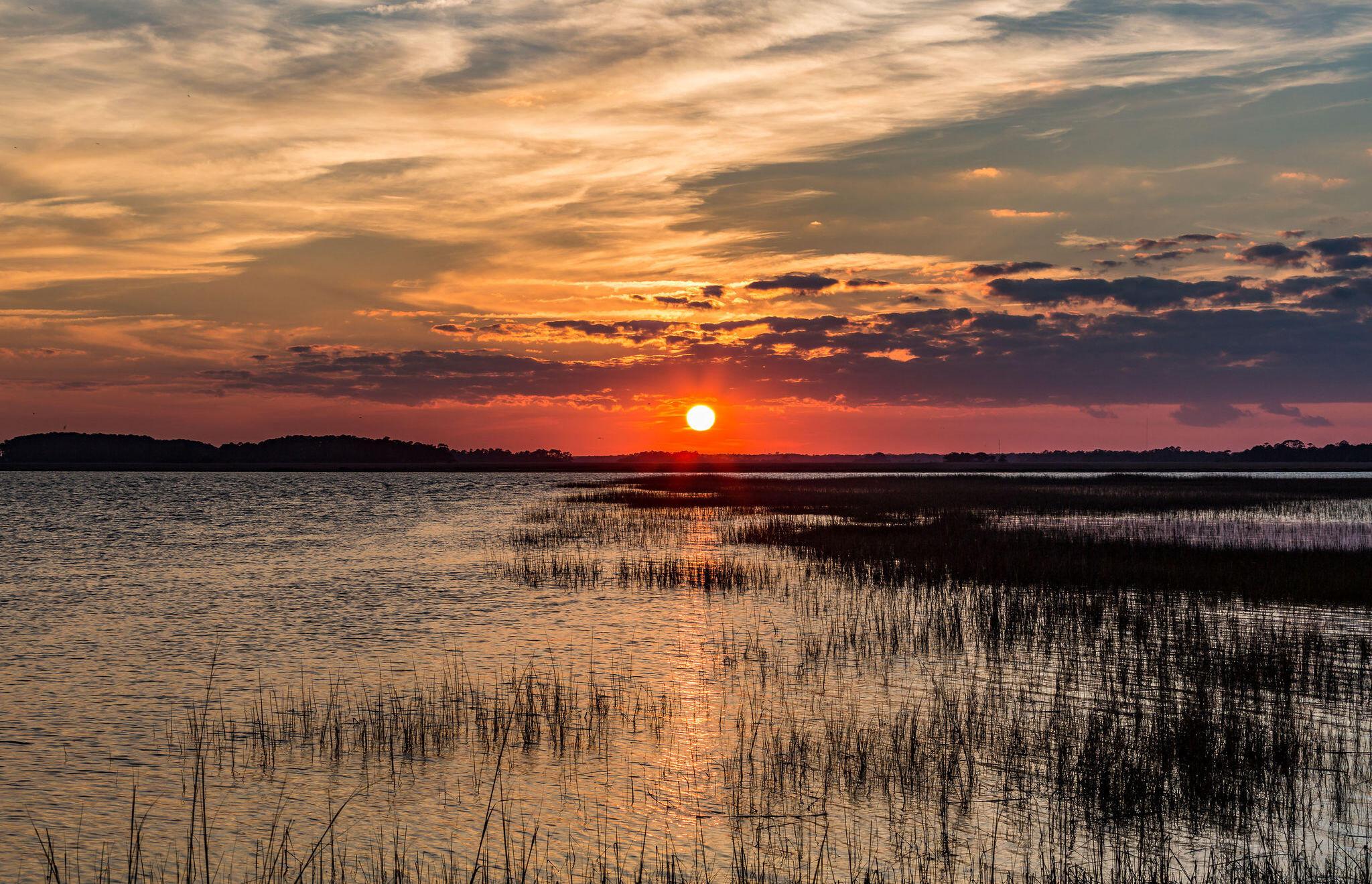 Photo #36