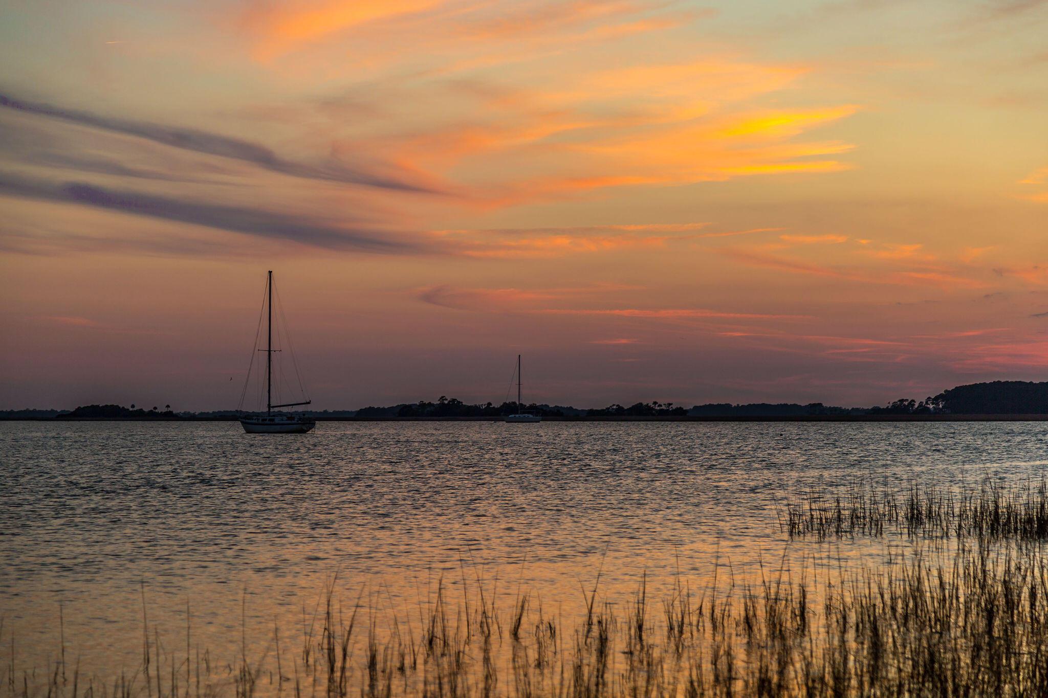 Photo #40