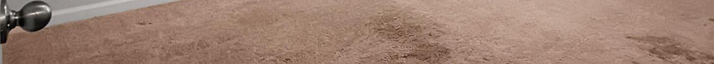 Photo #16
