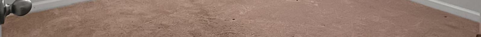 Photo #10