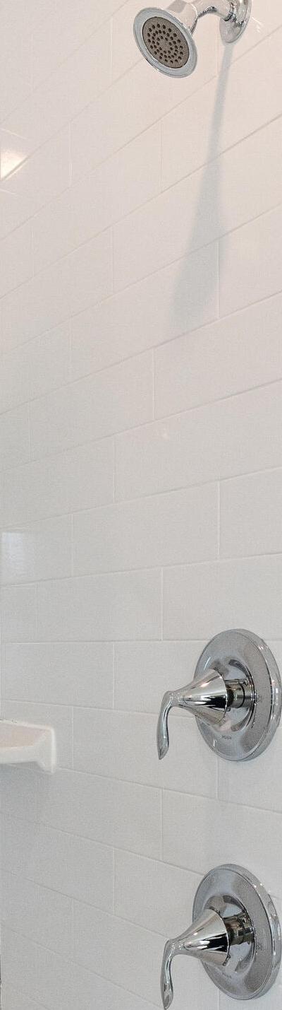 Photo #11