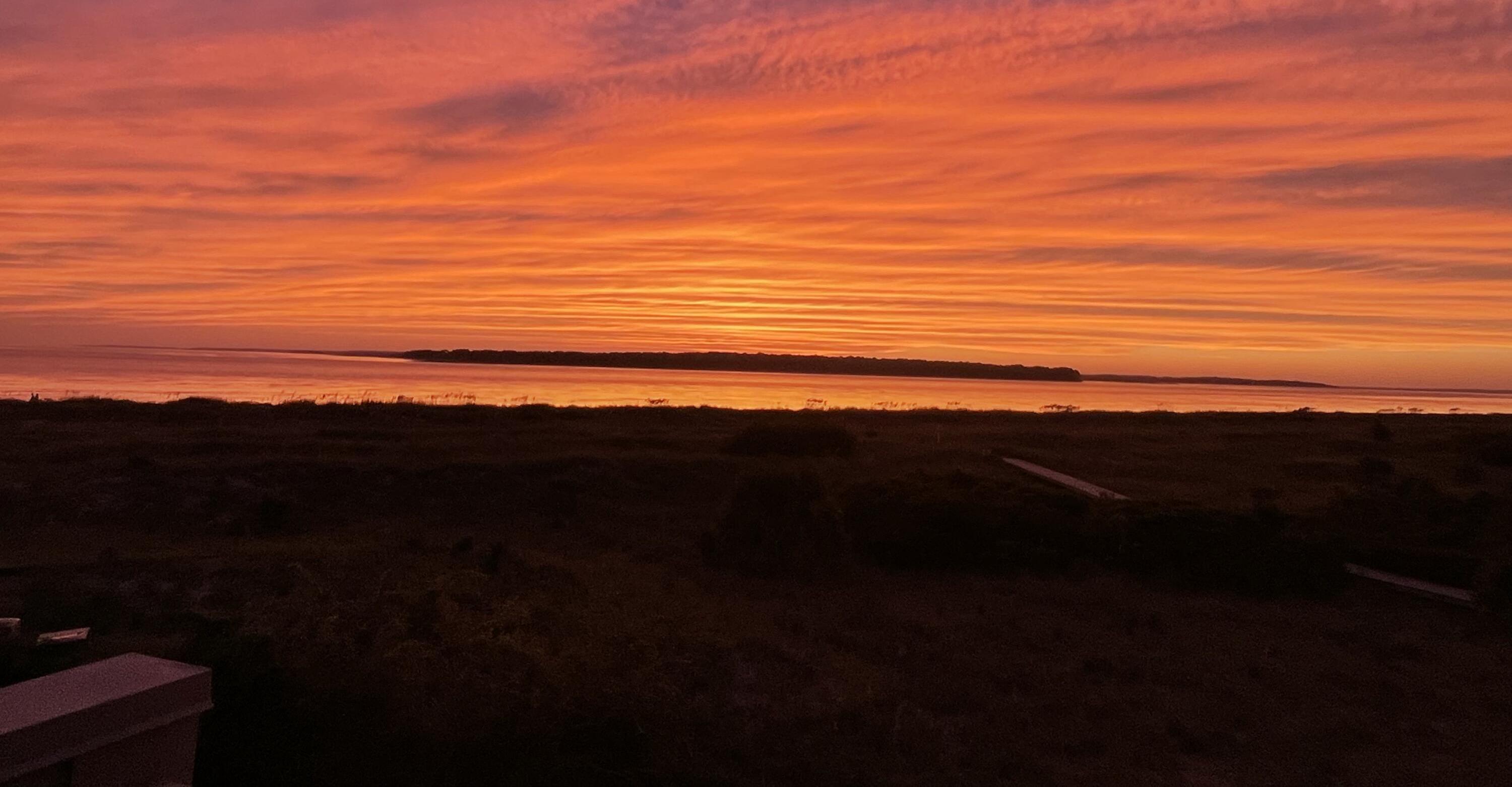 Photo #36
