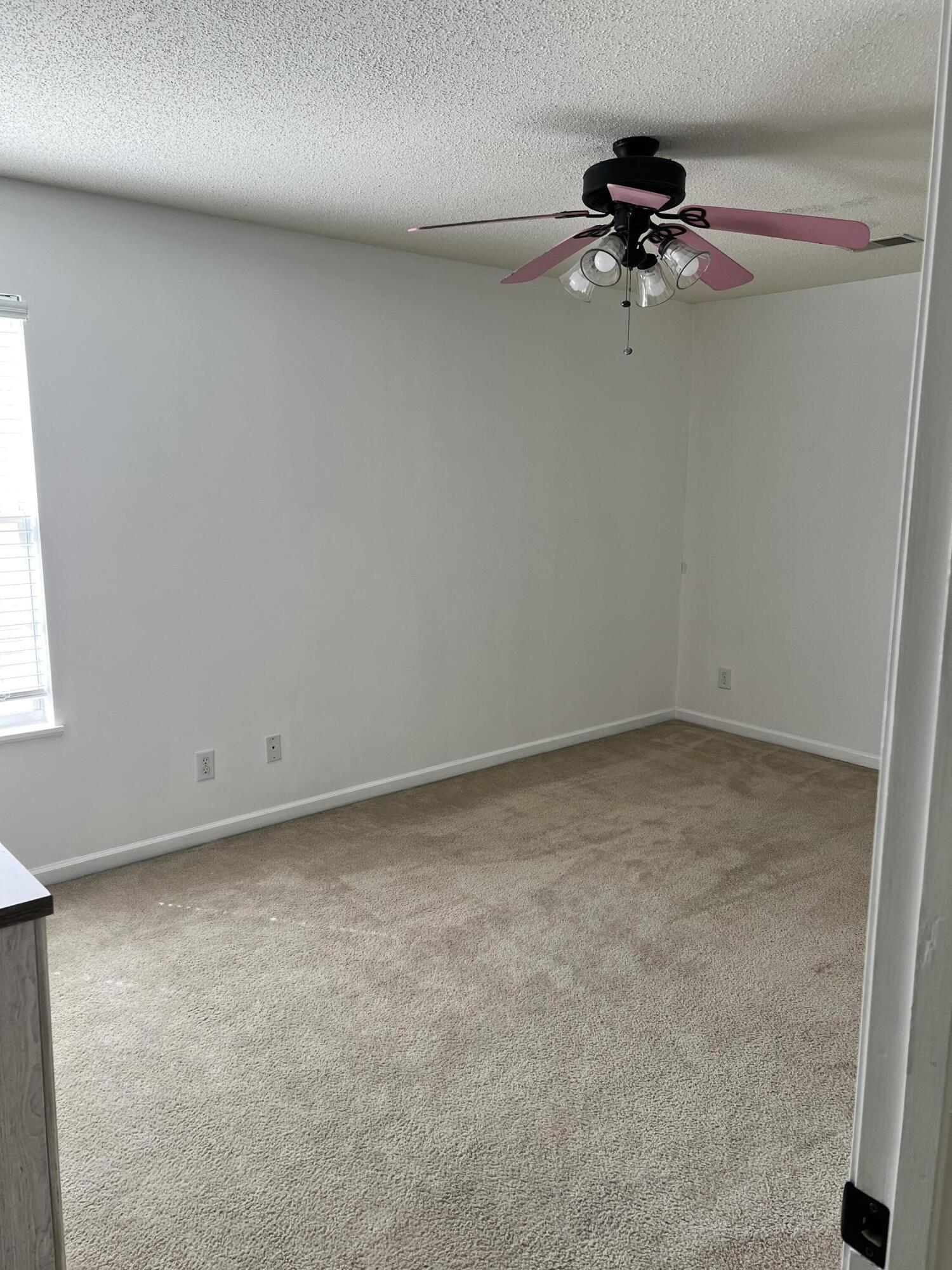 Photo #24