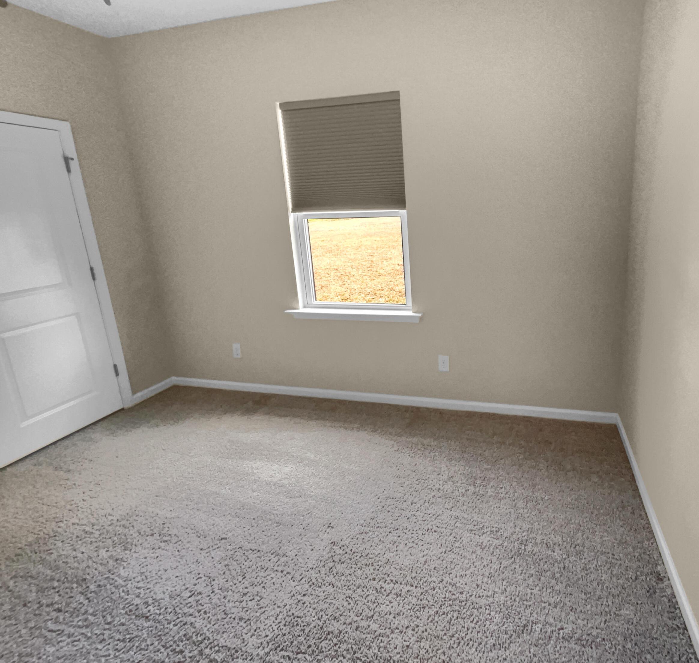 Photo #12