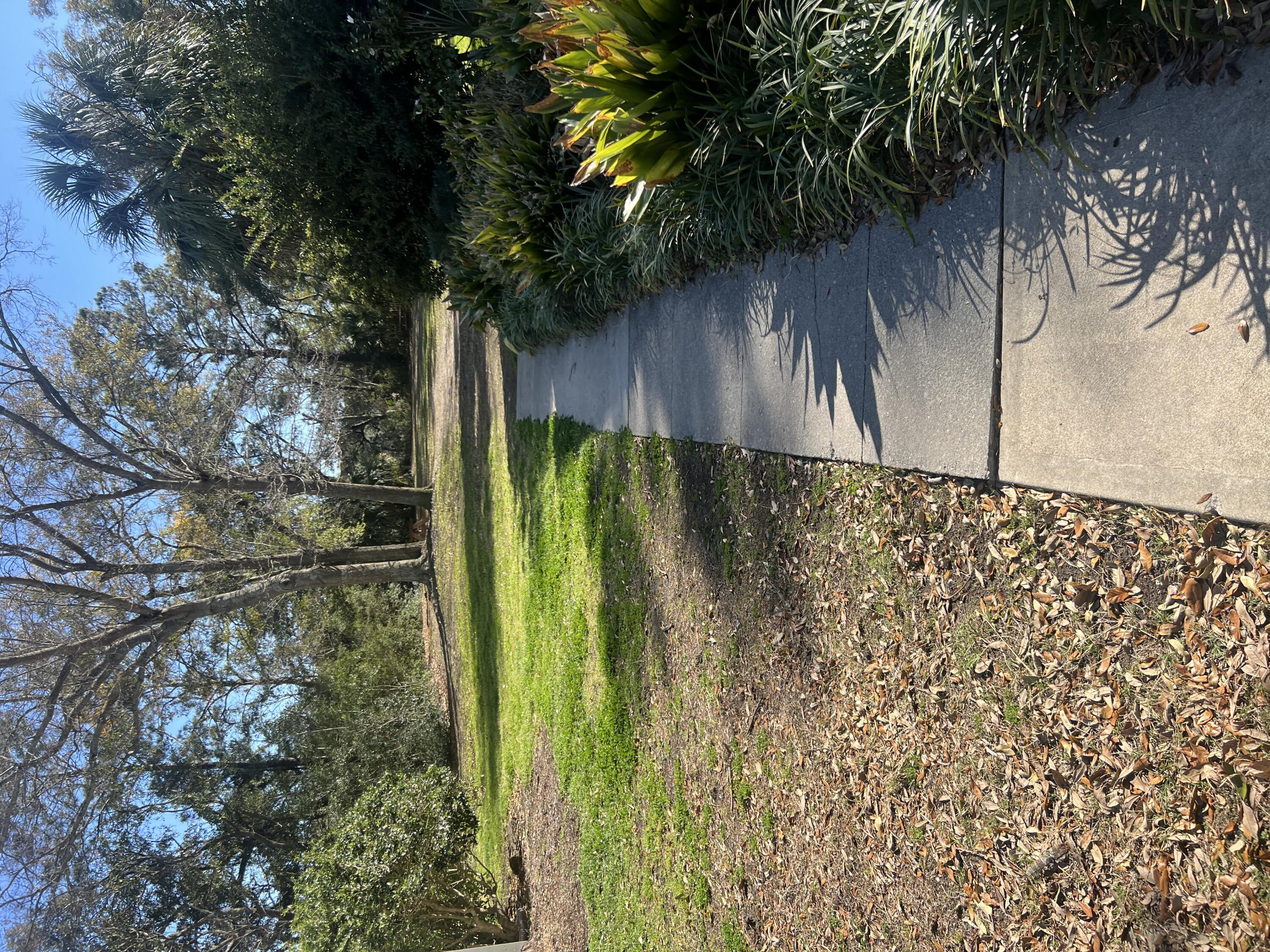 Photo #29