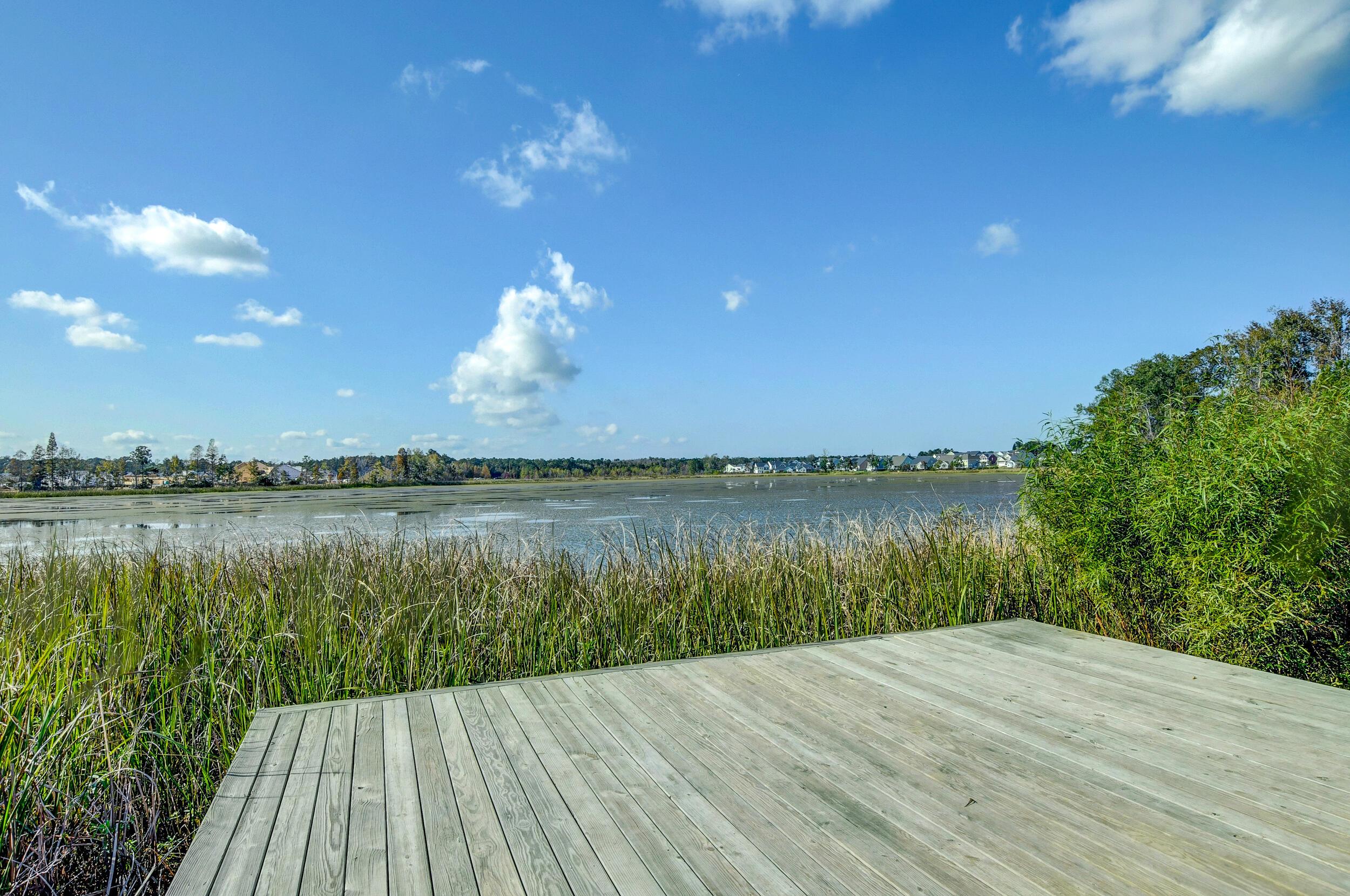 Photo #42