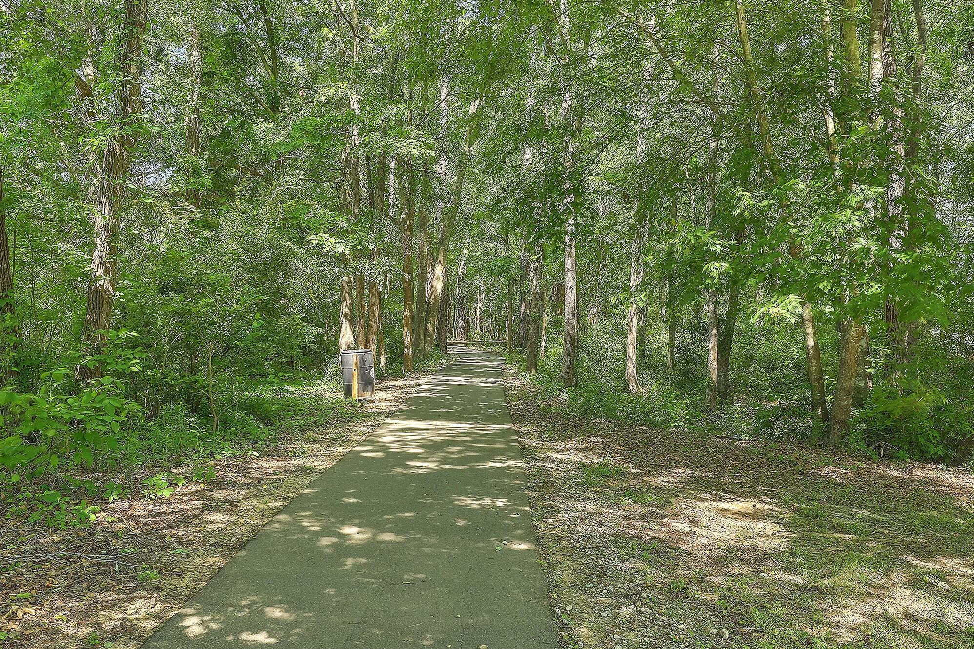 Photo #33