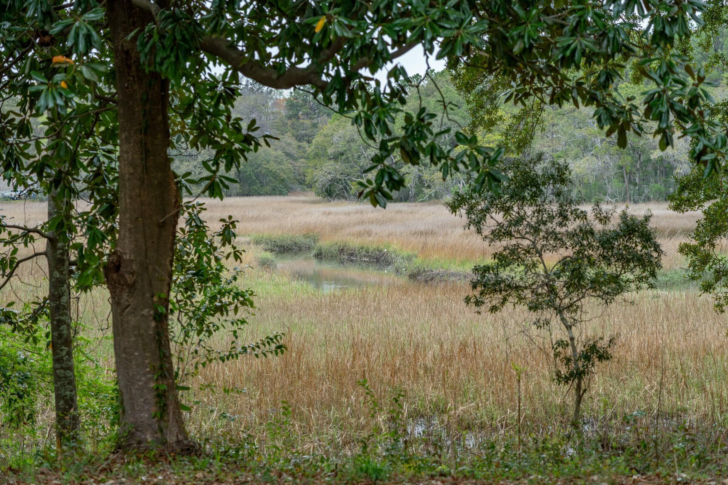 Photo #46