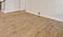 Photo #14