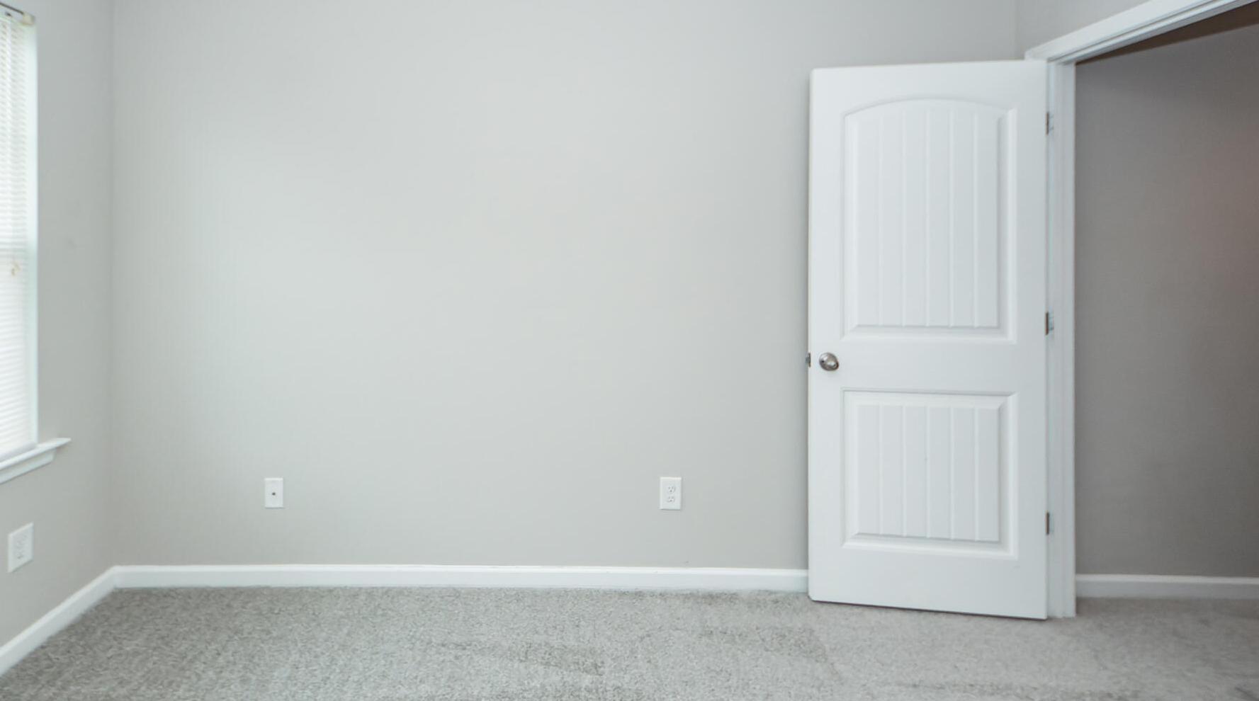 Photo #19