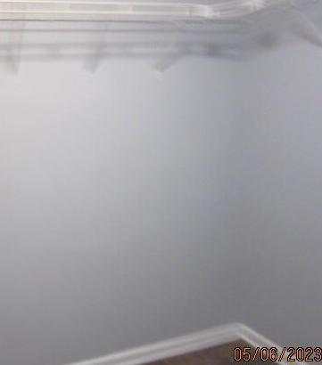 Photo #13