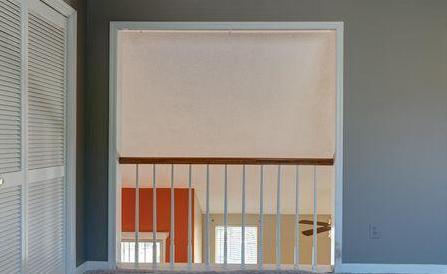 Photo #12
