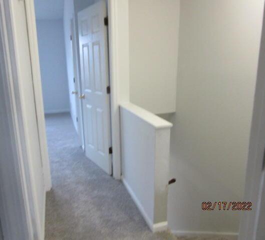 Photo #4