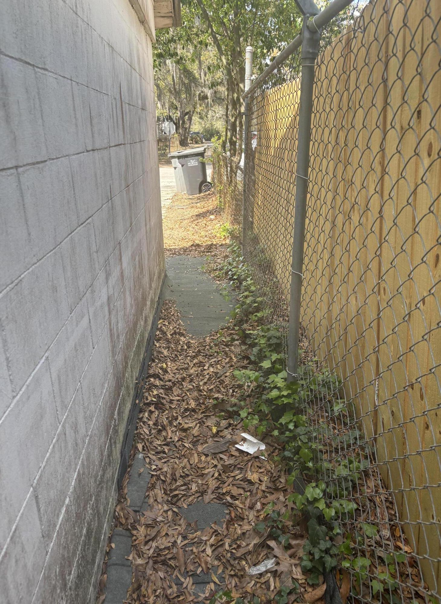 Photo #7